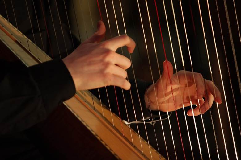 Louth Harpist