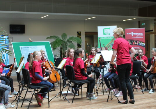 Music Generation Louth: Junior Strings Orchestra performs at SMEI AGM