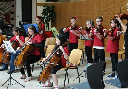 Louth Senior Strings perform at ESB Feis Ceoil