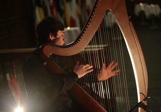 Louth Young Musical Ambassadors perform in Dublin Castle