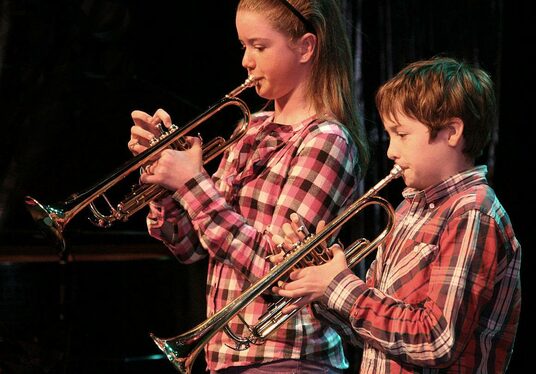 Music Generation Laois  to host a Performance Music Festival!