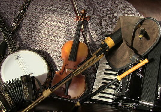 Music Generation Carlow launch Irish Music programme