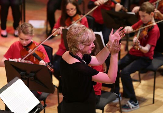 Louth school orchestra competed in the Newry Musical Feis