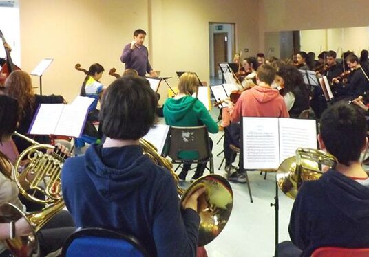 Irish Midlands Youth Orchestra support the The RTÉ National Symphony Orchestra!