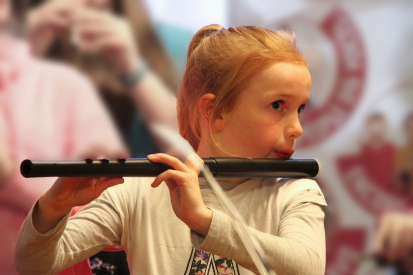 Carlow Instrument bank