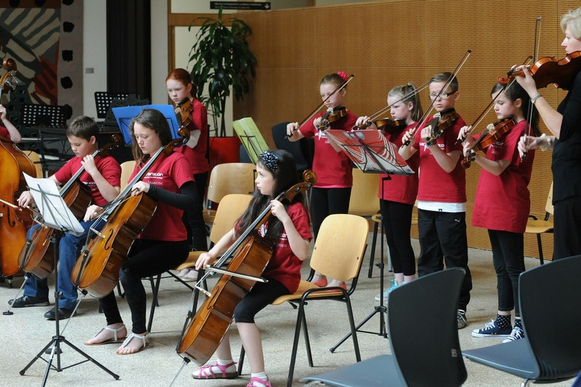 Louth Senior Strings