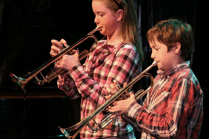 Music Generation Laois festival2
