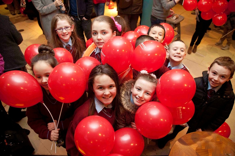 Cork concert party 2015