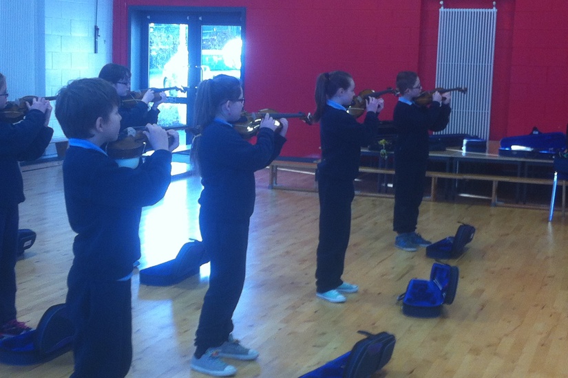 Laois violins