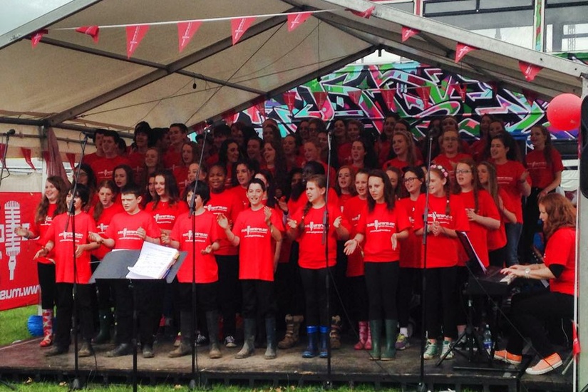 Offaly westmeath electric picnic