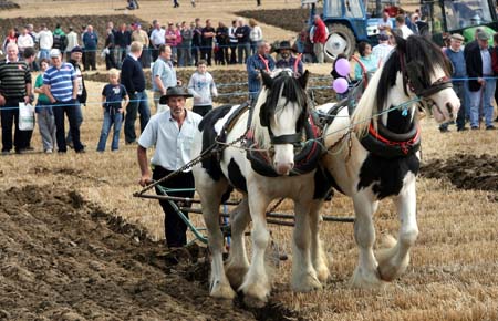 Ploughing championships