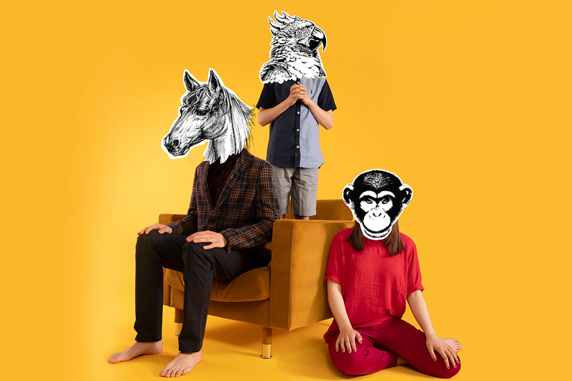 Horse Ape Bird